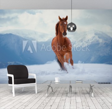 Picture of Red horse runs on snow on mountains background